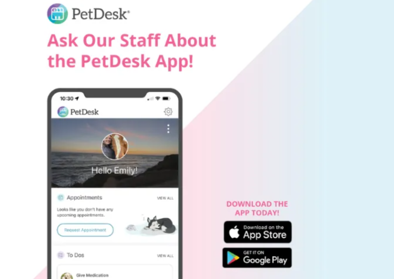 Carousel Slide 6: Download our convenient pet app!